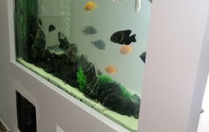 IPSONAS 350L FRESH