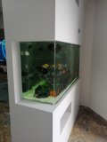 3-IPSONAS-350L-FRESH