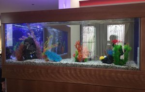 KAIMAKLI 740L L-SHAPED