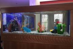 2-KAIMAKLI740L-LSHAPED