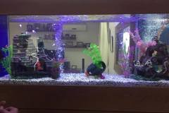 3-KAIMAKLI740L-LSHAPED