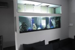 2KALLI600LFRESH