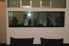 5KALLI600LFRESH