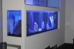 9KALLI600LFRESH