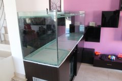 2-KALLITHEA-950L-FRESHWATER