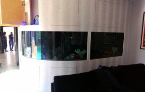 KOLOSSI 2000L FRESHWATER