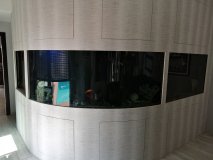 3-KOLOSSI-2000L-FRESHWATER