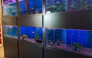 KSILOFAGOU 1000L SYSTEM