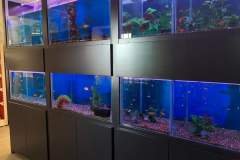 1-KSILOFAGOU-1000L-SYSTEM