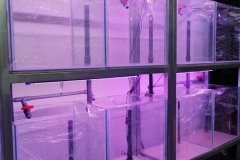 3-KSILOFAGOU-1000L-SYSTEM