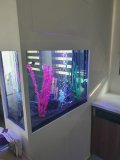 1-LAKATAMIA-150L-FRESHWATER
