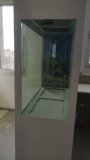12-LAKATAMIA-150L-FRESHWATER