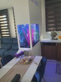 3-LAKATAMIA-150L-FRESHWATER
