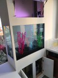 4-LAKATAMIA-150L-FRESHWATER