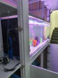 12-1-LAKATAMIA-700L-FRESH