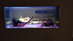 2-LAKATAMIA-700L-FRESH