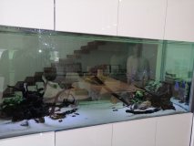 5-LAKATAMIA-700L-FRESH