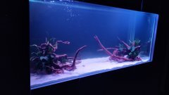 7-LAKATAMIA-700L-FRESH