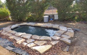 LATSIA 3000L POND SENIOR SCHOOL