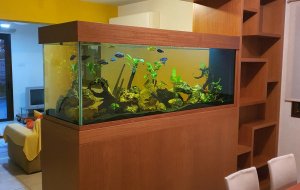 LATSIA 850L FRESHWATER