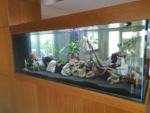 11-LATSIA-850L-FRESHWATER