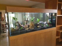 12-LATSIA-850L-FRESHWATER