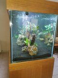 2-LATSIA-850L-FRESHWATER