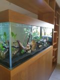 3-LATSIA-850L-FRESHWATER