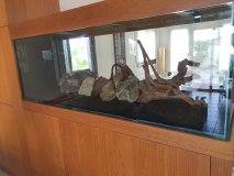 5-LATSIA-850L-FRESHWATER