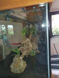 6-LATSIA-850L-FRESHWATER
