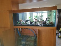 8-LATSIA-850L-FRESHWATER