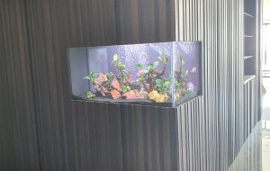 LIMASSOL 500L FRESHWATER