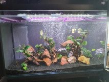 2-LIMASSOL-500L-FRESHWATER