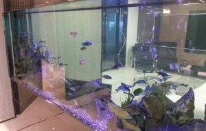 LIMASSOL 800L FRESH
