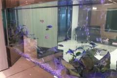 5LIMASSOL-800L-FRESH