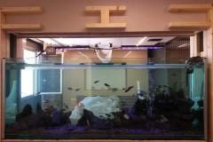 6LIMASSOL-800L-FRESH