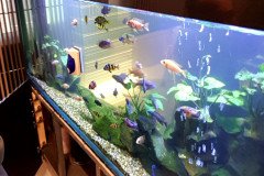 7LIMASSOL-800L-FRESH