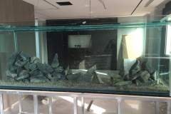 8LIMASSOL-800L-FRESH