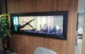 LINOPETRA 850L FRESHWATER