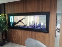 1-LINOPETRA-850L-FRESHWATER