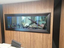 2-LINOPETRA-850L-FRESHWATER