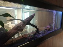 3-LINOPETRA-850L-FRESHWATER