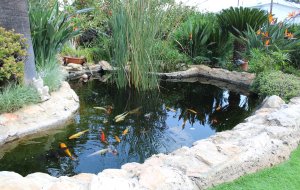 MAKEDONITISSA 5500L POND