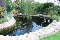 1-MAKEDONITISSA-5500L-POND