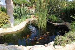 12-MAKEDONITISSA5500LPOND