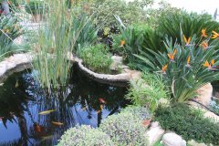 13-MAKEDONITISSA5500LPOND