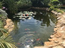 2-MAKEDONITISSA5500LPOND