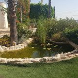 8-MAKEDONITISSA5500LPOND