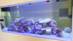 5-NICOSIA-1500L-MARINE