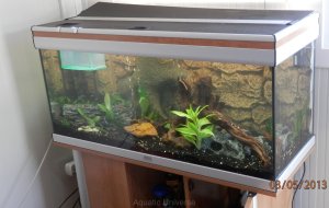 NISOU 125L FRESH